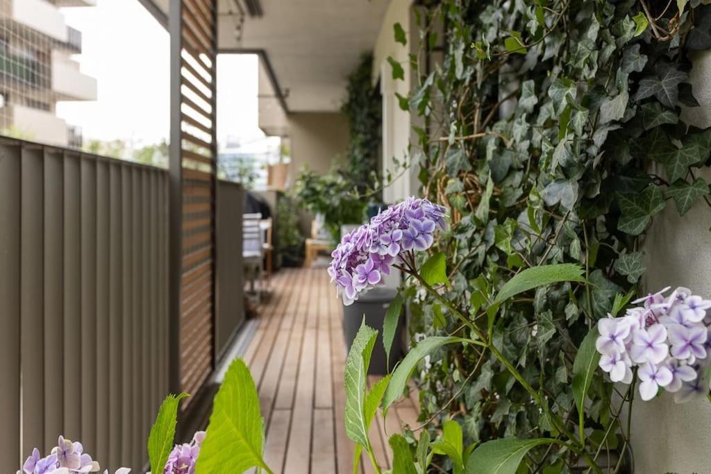 Dream Apartment - Central And Quiet With Ac And Free Parking Garage Vienne Extérieur photo